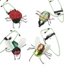 Spot® Buzzing Insect A-Door-Able Assorted Cat Toy